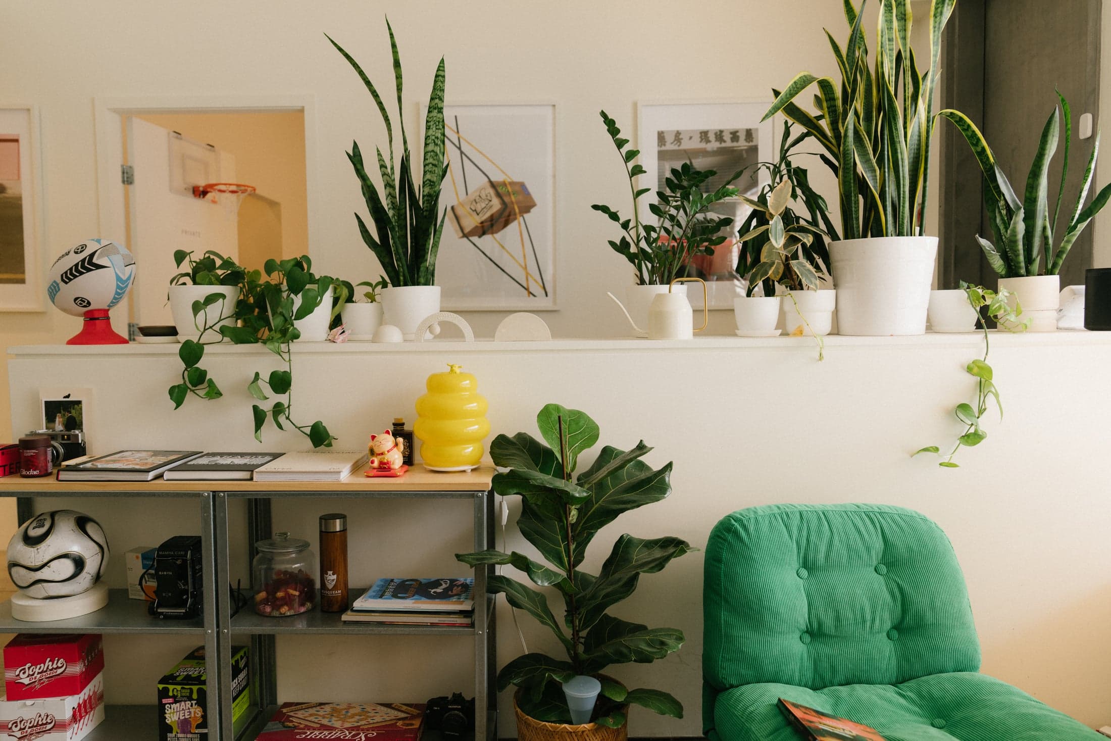 Plants, framed artwork and a green chair in the Velour studio.