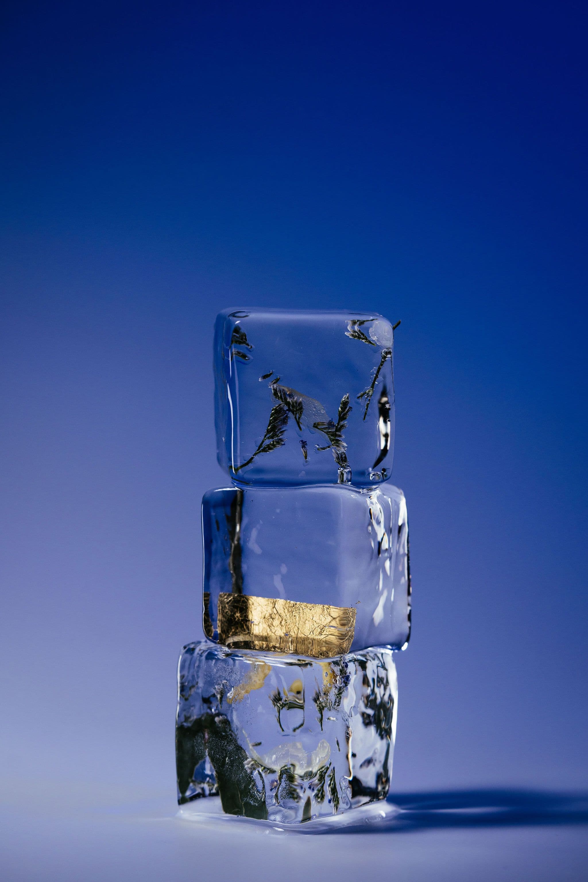 Three clear ice cubes embedded with flowers, gold leaf and greenery stacked against a blue background.