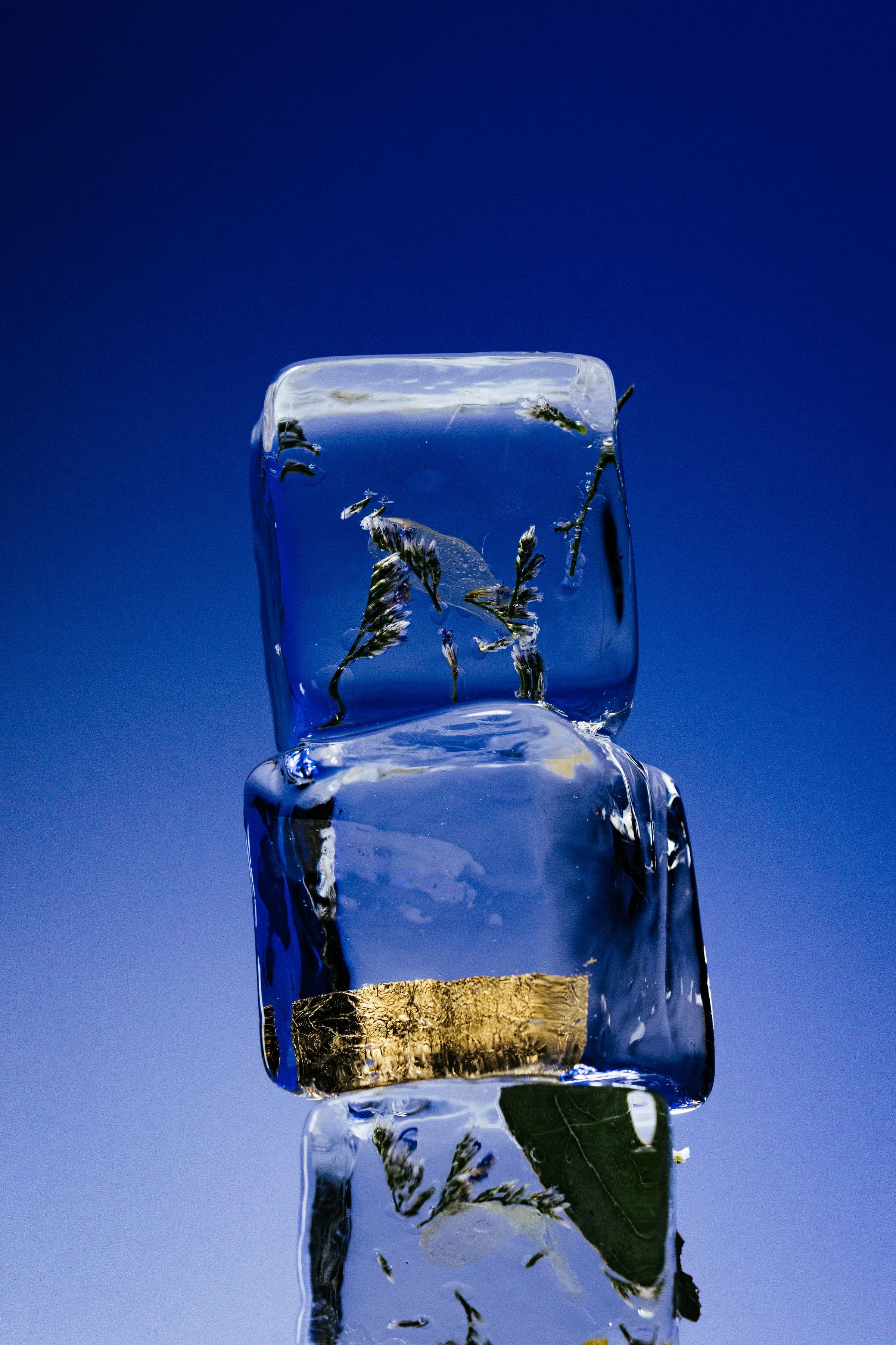 Three clear ice cubes embedded with flowers, gold leaf and greenery stacked against a deep blue background.