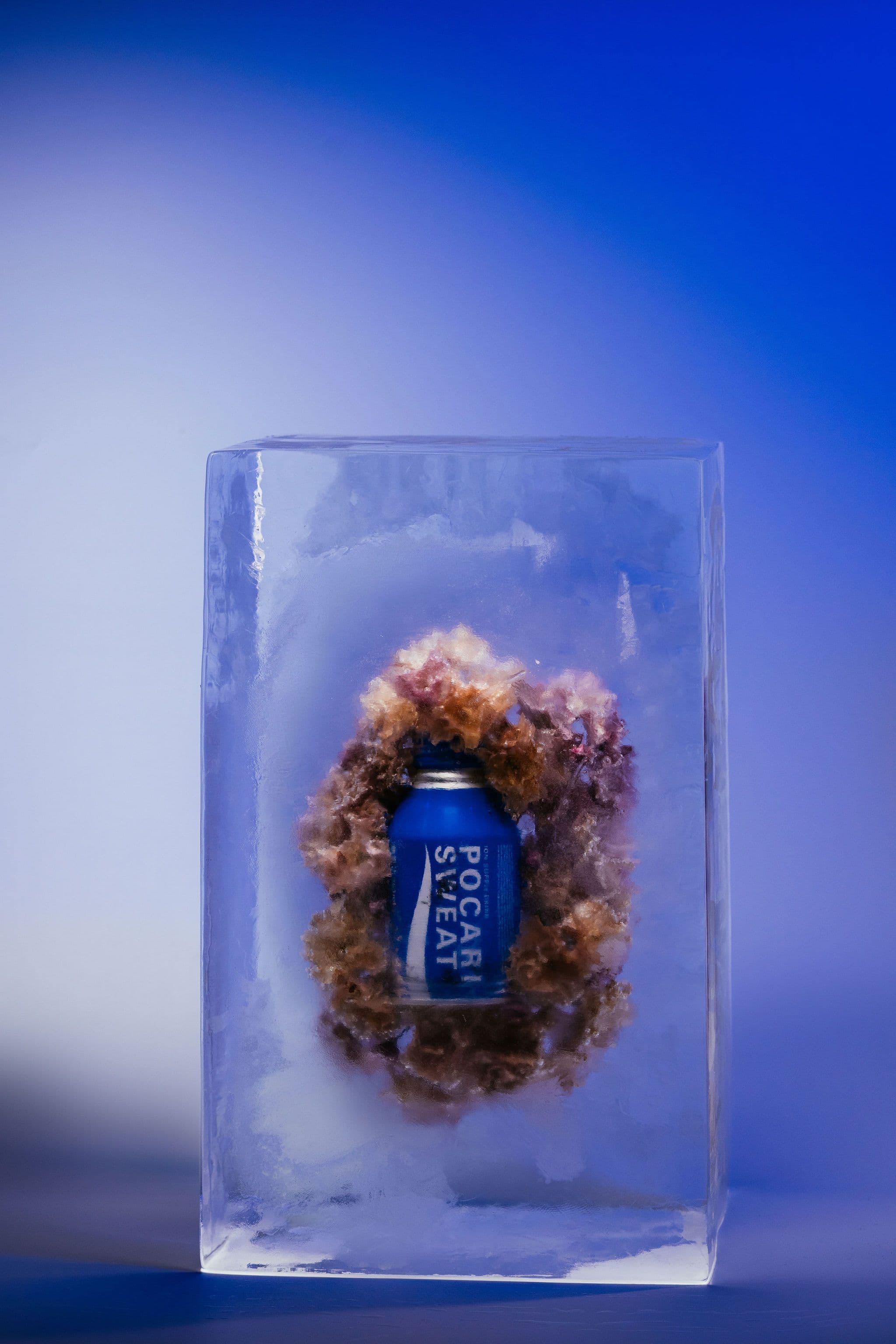 A blue Pocari Sweat can frozen inside a clear ice block and surrounded by ruffled flowers against a blue background.