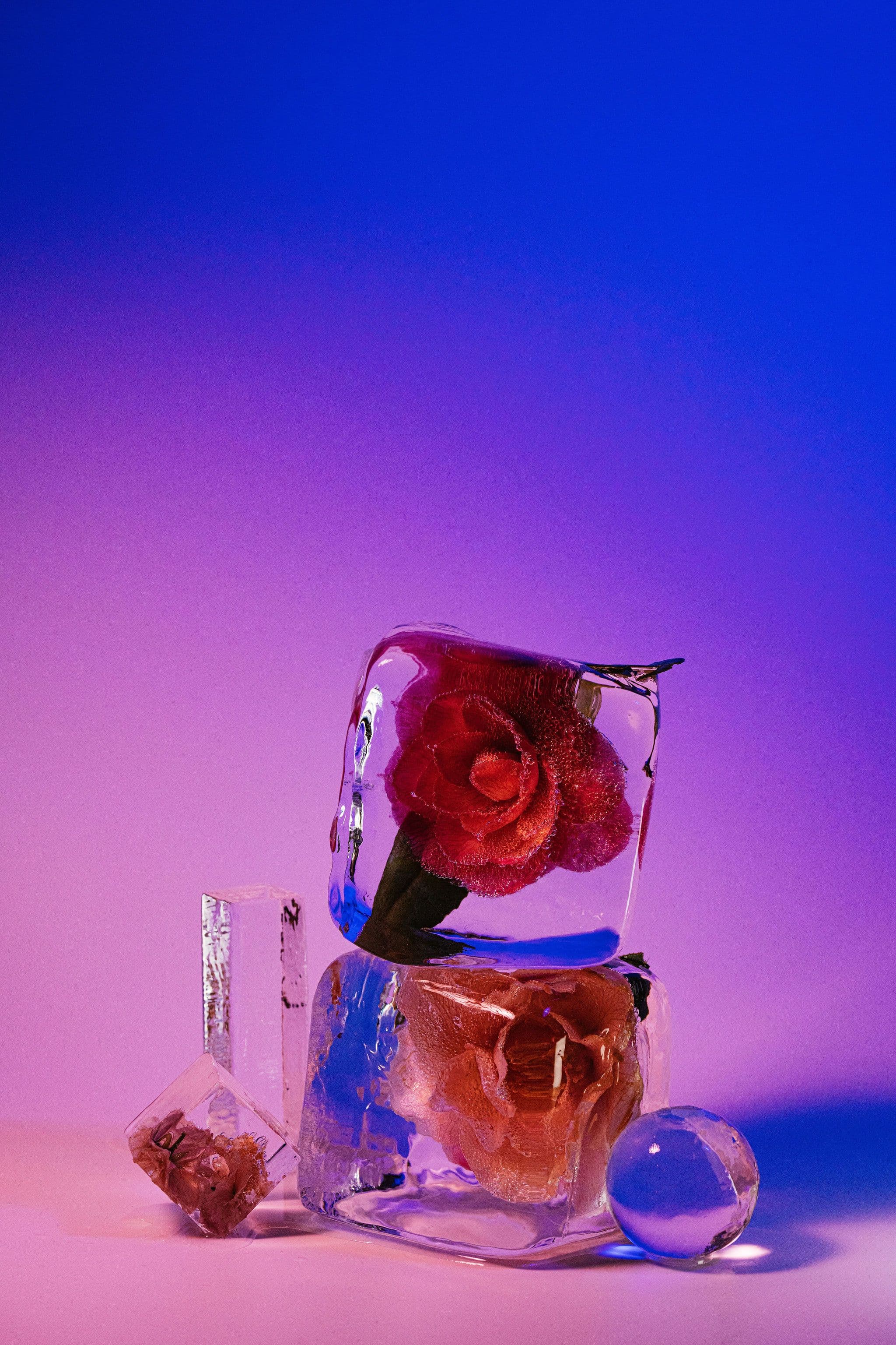 Red flowers embedded in stacked clear ice cubes with smaller geometric ice shapes on a pink and blue set.
